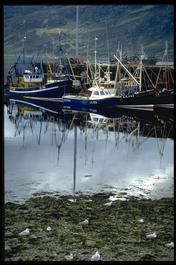 588000 The Harbor, Ullapool, Scotland A4 Photo Print