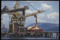 588014 Loading Wood Chips A4 Photo Print