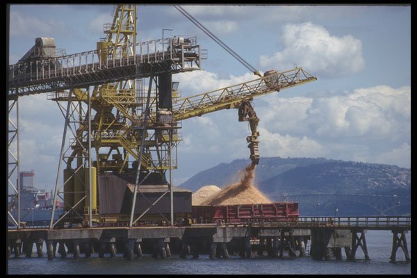 588014 Loading Wood Chips A4 Photo Print