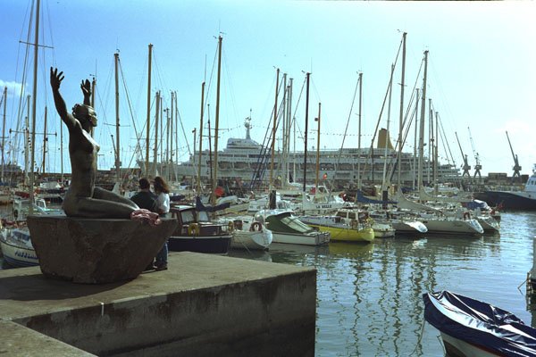 588029 Funchal, Madeira A4 Photo Print