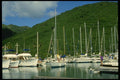 588037 Busy Marina, British Virgin Islands A4 Photo Print