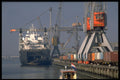 588063 A Typical Scene In The Waalhaven Basin, Rotterdam, Netherlands A4 Photo Print