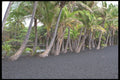 589000 Black Sand Beach At Punaluu A4 Photo Print