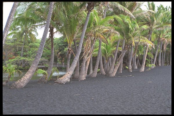 589000 Black Sand Beach At Punaluu A4 Photo Print