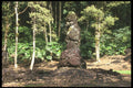 589001 Lava Tube In Lava Tree Statue Monument A4 Photo Print