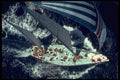 589015 Pan Am Clipper Cup Yacht Race, Honolulu A4 Photo Print