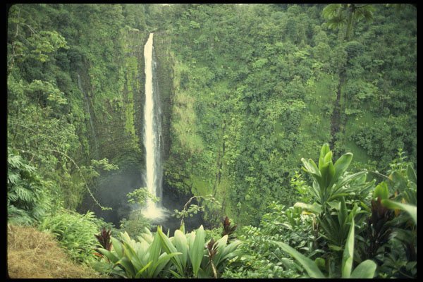 589046 Akaka Falls A4 Photo Print