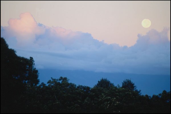 589091 Moonset Early In The Morning, Maui A4 Photo Print