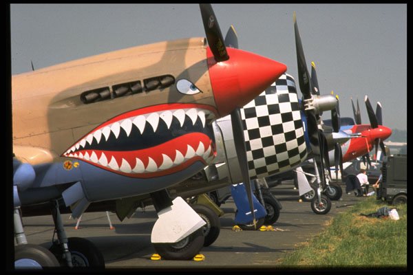 590018 American WWII Fighters A4 Photo Print
