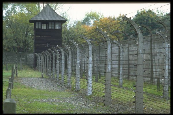 590044 Auschwitz A4 Photo Print