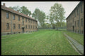 590045 Auschwitz A4 Photo Print