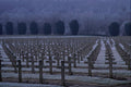 590065 French War Graves In Winter, France A4 Photo Print