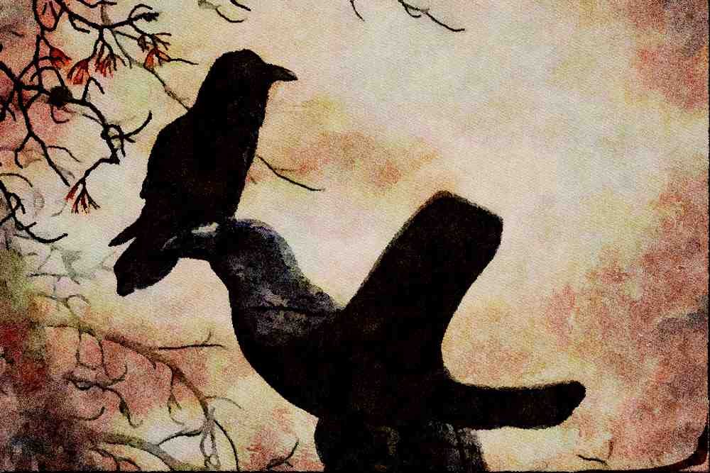 591001 Common Raven A4 Limited Edition Watercolour Print