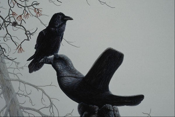 591001 Common Raven A4 Photo Print