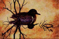 591014 Green winged Teal A4 Limited Edition Watercolour Print
