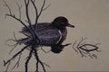 591014 Green winged Teal A4 Photo Print