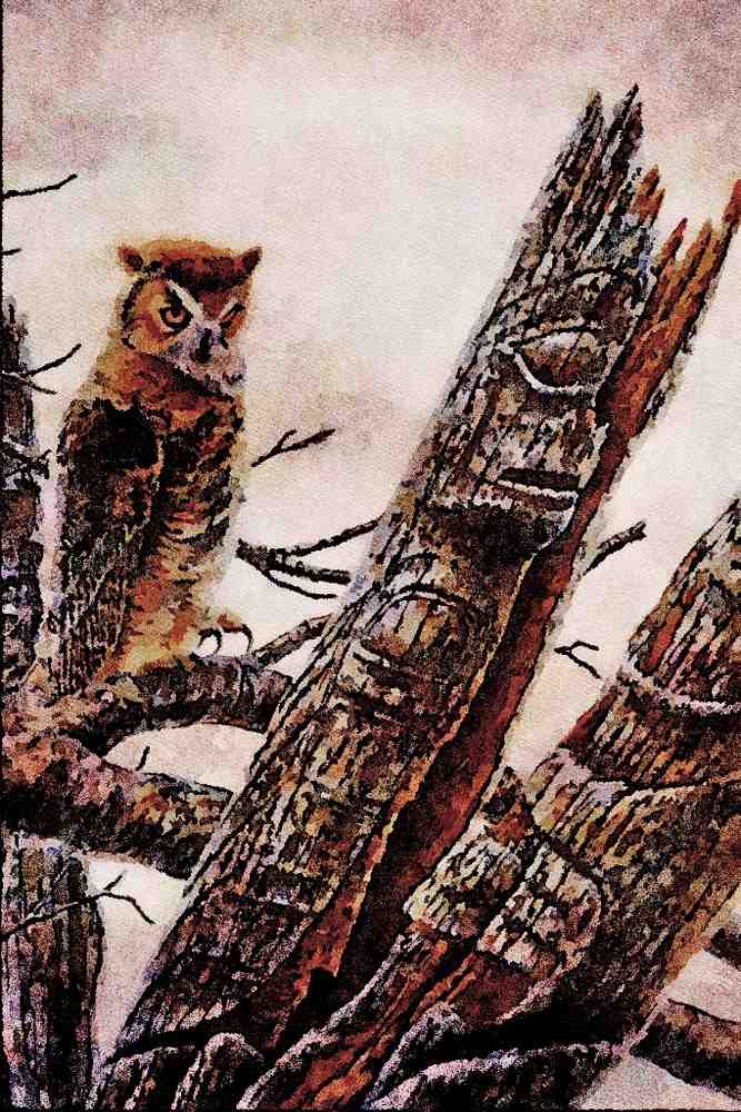 591018 Great Horned Owl A4 Limited Edition Watercolour Print