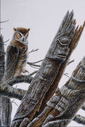 591018 Great Horned Owl A4 Photo Print