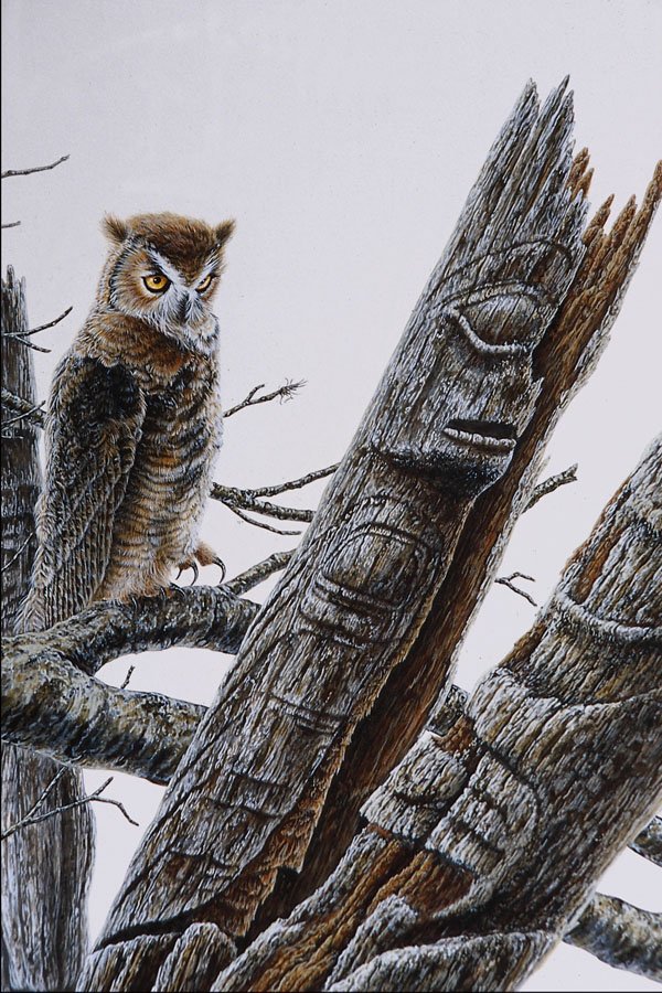 591018 Great Horned Owl A4 Photo Print