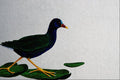 591021 Purple Gallinule A4 Photo Print