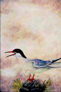 591022 Common Tern A4 Limited Edition Watercolour Print
