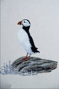 591025 Common Puffin A4 Photo Print