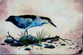 591033 Night Heron A4 Limited Edition Watercolour Print
