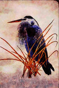 591036 Great Blue Heron A4 Limited Edition Watercolour Print