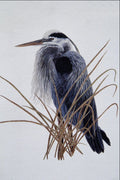 591036 Great Blue Heron A4 Photo Print