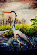 591037 Great Blue Heron A4 Limited Edition Watercolour Print