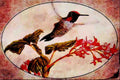 591039 Anna's Hummingbird A4 Limited Edition Watercolour Print