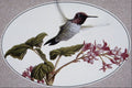 591039 Anna's Hummingbird A4 Photo Print