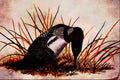 591043 Common Loon A4 Limited Edition Watercolour Print