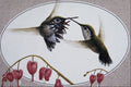 591044 Calliope Hummingbirds A4 Photo Print