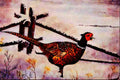 591052 Ring necked Pheasant A4 Limited Edition Watercolour Print