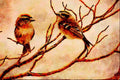 591054 Golden crowned Kinglets (male And Female) A4 Limited Edition Watercolour Print