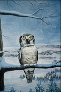 591055 Hawk Owl A4 Photo Print