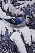591058 Blue Jay A4 Photo Print