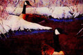 591060 Canada Geese A4 Limited Edition Watercolour Print