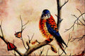 591061 Kestrel A4 Limited Edition Watercolour Print