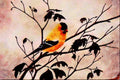 591067 American Goldfinch (male) A4 Limited Edition Watercolour Print