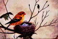 591068 American Goldfinch (female) A4 Limited Edition Watercolour Print