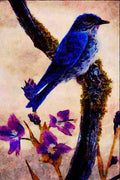 591071 Mountain Bluebird A4 Limited Edition Watercolour Print