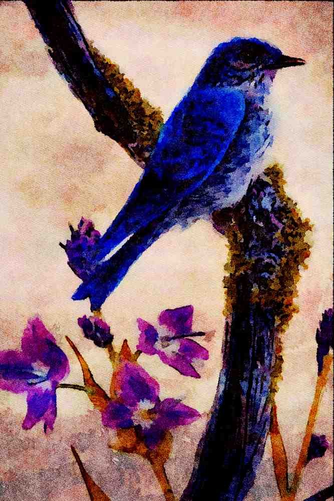591071 Mountain Bluebird A4 Limited Edition Watercolour Print