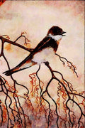 591074 Rough winged Swallow A4 Limited Edition Watercolour Print