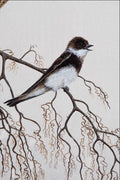 591074 Rough winged Swallow A4 Photo Print