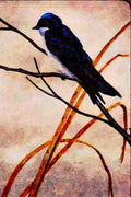 591076 Tree Swallow A4 Limited Edition Watercolour Print