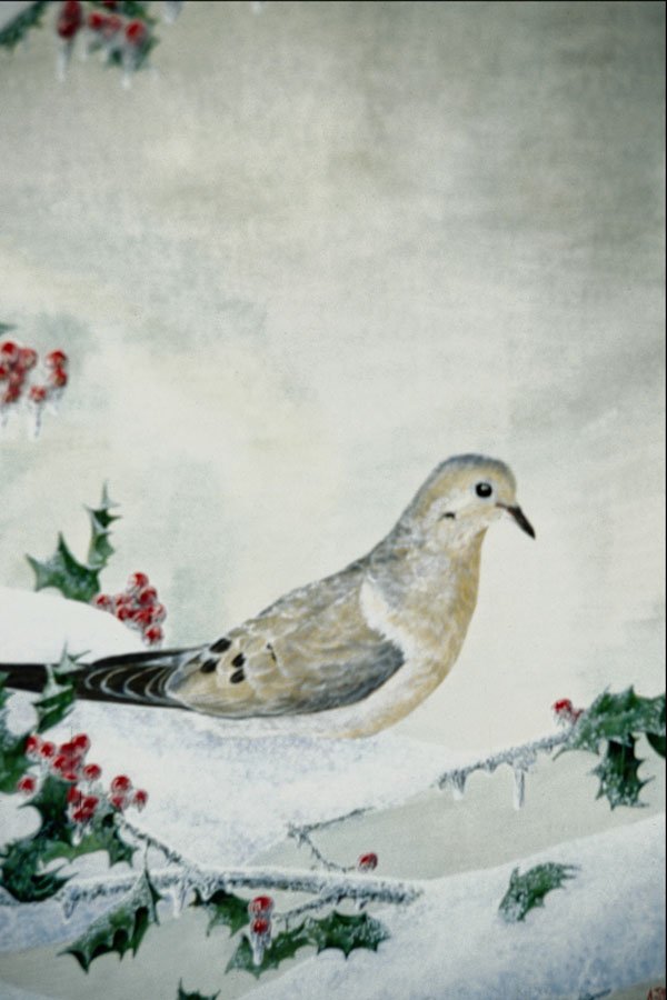 591078 Mourning Dove A4 Photo Print