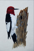 591079 Red headed Woodpecker A4 Photo Print