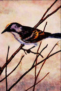 591080 Chestnut sided Warbler A4 Limited Edition Watercolour Print